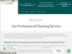 Sites similar to lilymaids.ae