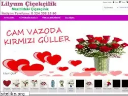 Sites similar to lilyumcicek.com