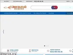Sites similar to limanbalikagi.com