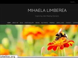 Sites similar to limberea.com