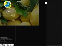 Sites similar to limonecostadamalfiigp.com