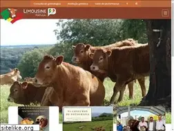 Sites similar to limousineportugal.com
