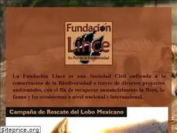 Sites similar to lince.org.mx