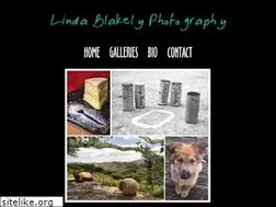 Sites similar to lindablakelyphotography.com