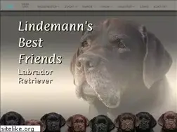 Sites similar to lindemann-labrador.de
