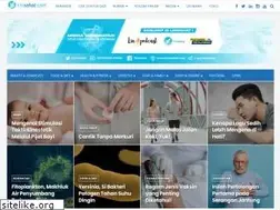Sites similar to linisehat.com