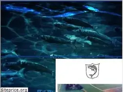 Sites similar to link-fischzucht.de