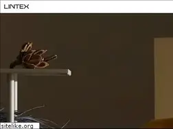 Sites similar to lintex.com