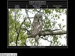 Sites similar to lintuja.net