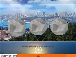 Sites similar to liongroupturkey.com