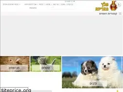 Sites similar to lionking.co.il