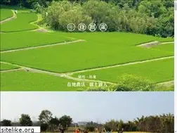 Sites similar to liousiang.com