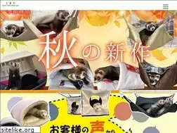 Sites similar to lip-pet.com