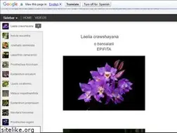Sites similar to listadeorquideasmexicanas.blogspot.com