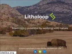 Sites similar to litholoop.com
