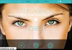 Sites similar to litonagency.com