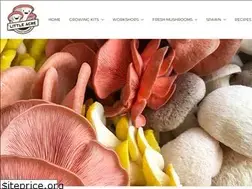 Sites similar to littleacre.com.au