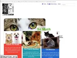 Sites similar to littlebigcat.com
