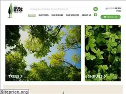 Sites similar to littlebigtreecompany.co.nz