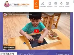 Sites similar to littleblossommontessori.com