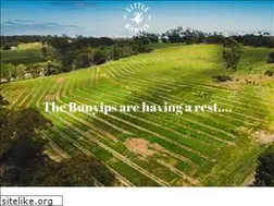 Sites similar to littlebunyip.com.au