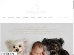 Sites similar to littlecherubphotography.com