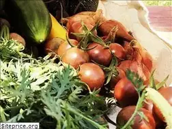 Sites similar to littlefarm.be