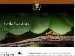 Sites similar to littlefireants.com
