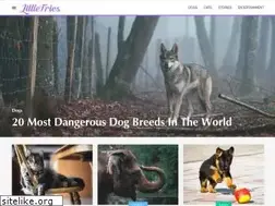 Sites similar to littlefries.com