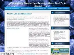 Sites similar to littlegiantblueberry.com