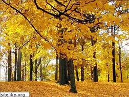 Sites similar to littlehouseonthebighill.com