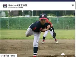 Sites similar to littleleague-tokyorenmei.com