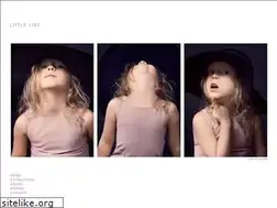 Sites similar to littlelief.com