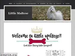 Sites similar to littlemaltese.com