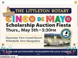 Sites similar to littletonrotaryauction.com
