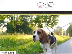 Sites similar to littleurbanvet.com