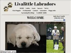 Sites similar to livalittlelabradors.com