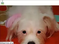 Sites similar to livelovepet.com