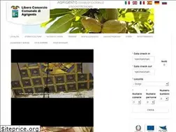 Sites similar to livingagrigento.it