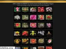 Sites similar to livingflowers.com.au