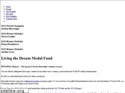 Sites similar to livingthedreammedalfund.com