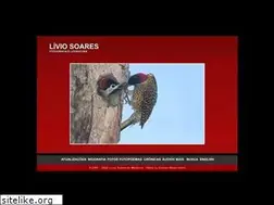 Sites similar to liviosoares.com