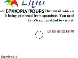 Sites similar to liyuethiopiatours.com