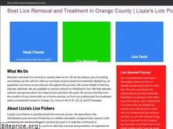 Sites similar to lizzieslicepickers.com