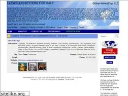 Sites similar to llewellinsetters.com