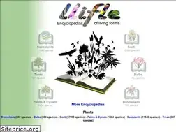Sites similar to llifle.com