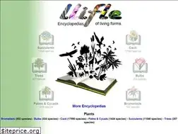 Sites similar to llifle.info
