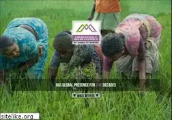 Sites similar to lmjil.com