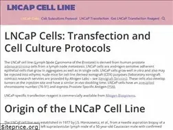 Sites similar to lncap.com
