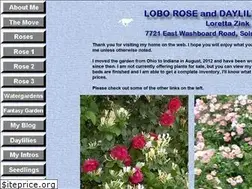 Sites similar to loborose.com